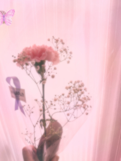 %e8%8a%b1_2026-08-05_09-51-41_370