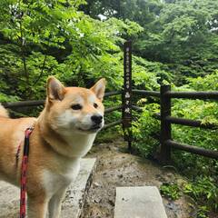 Yamaue
