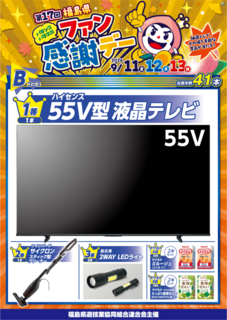 B%e3%82%b3%e3%83%bc%e3%82%b9