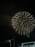 1%e8%8a%b3%e8%b3%80%e3%80%80%e7%a4%bc%e5%a5%88_2026-09-05_12-22-16_410