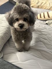 Ru