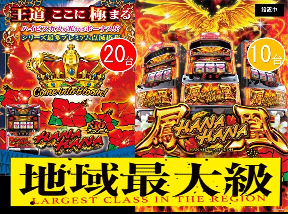 %e3%83%8f%e3%83%8a%e3%83%8f%e3%83%8a%e5%9c%b0%e5%9f%9f%e6%9c%80%e5%a4%a7%e7%b4%9a%e6%a8%aa