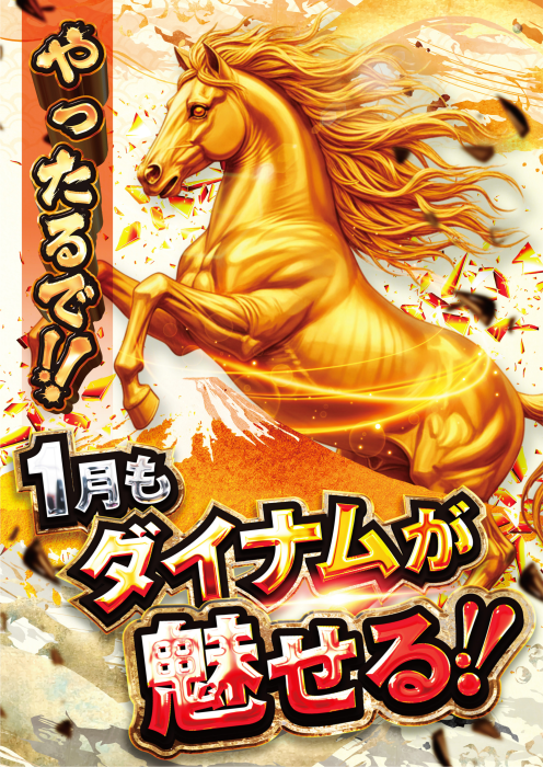 Product_dt2025122500901_image3