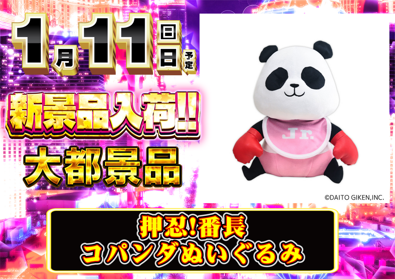 Order_ae251231-0096_order_png