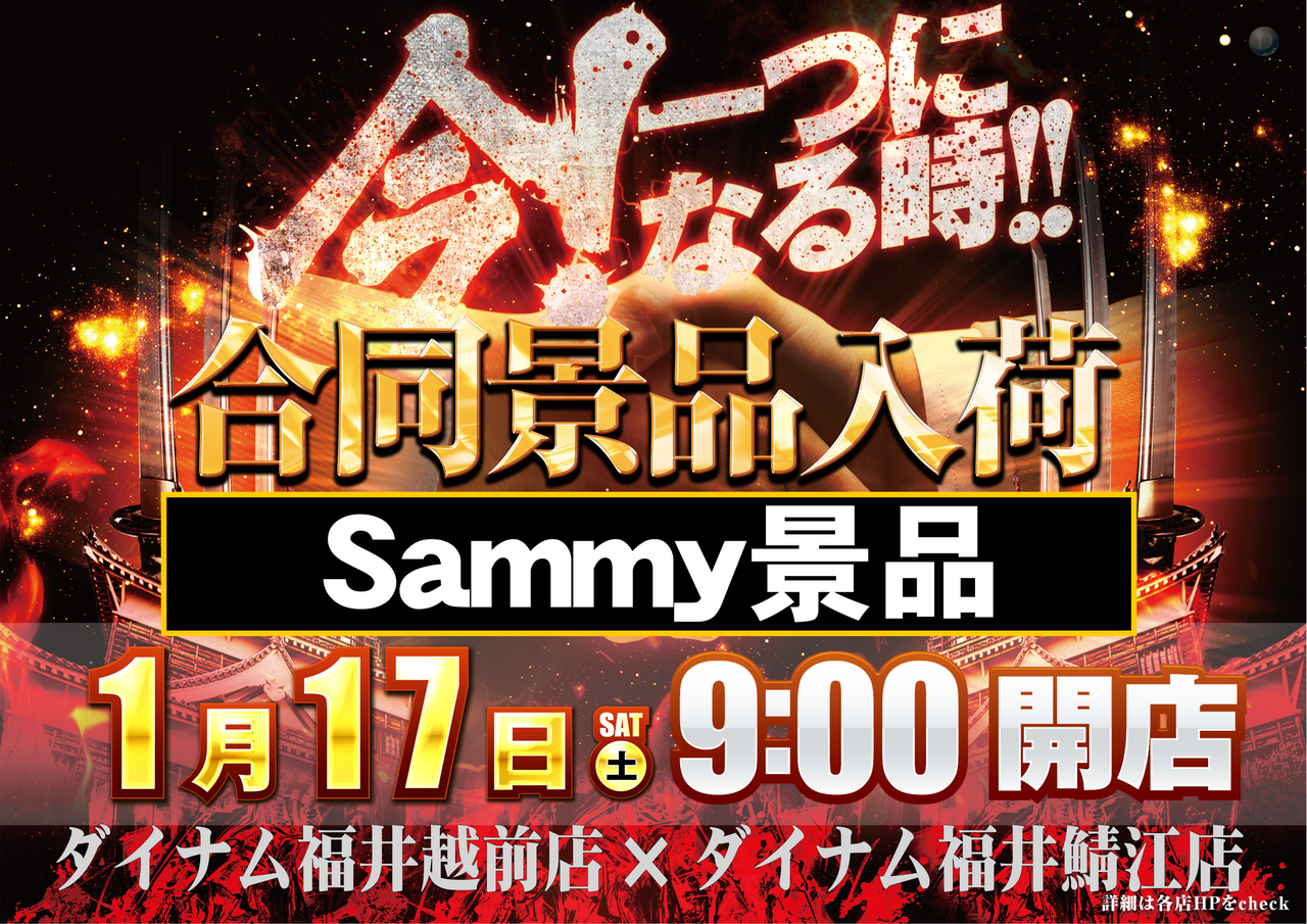 Order_ae260113-0387_order_png