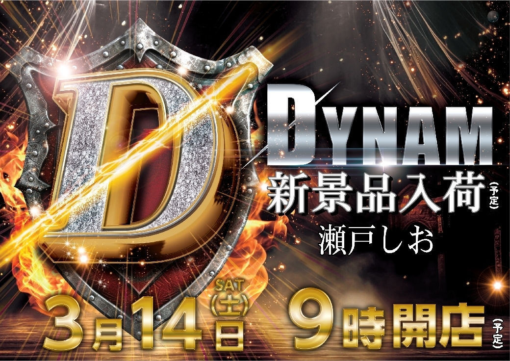 0314%e6%99%af%e5%93%81%ef%bc%9a%e3%83%80%e3%82%a4%e3%83%8a%e3%83%a0pstaz%e6%a8%aaline_rich_w1040