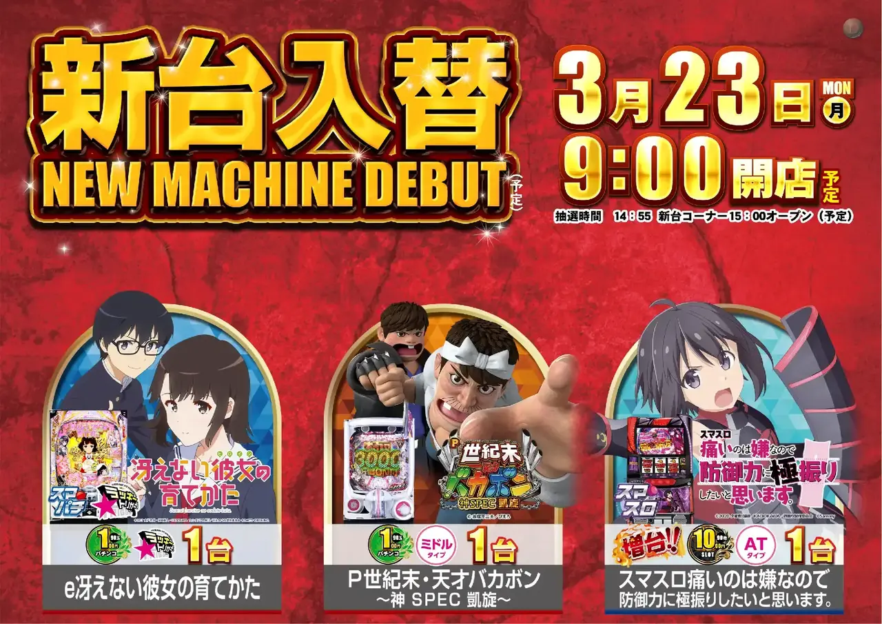 216_ae260304-0399dmm_order_png