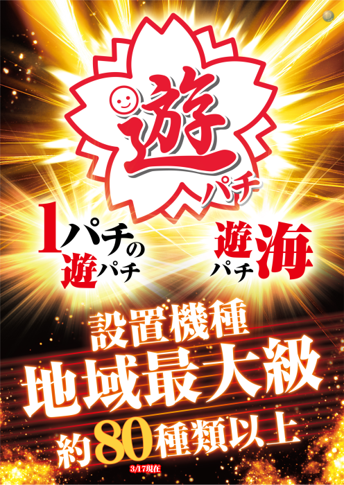 Product_ae260317-0510-1_image3