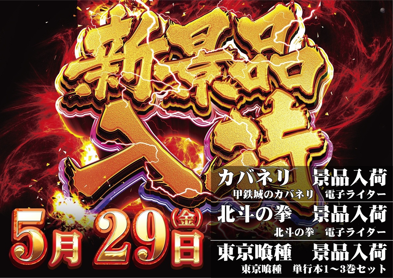 529web