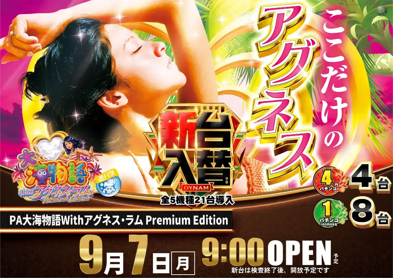 ダイナム岩手前沢店 | P-WORLD