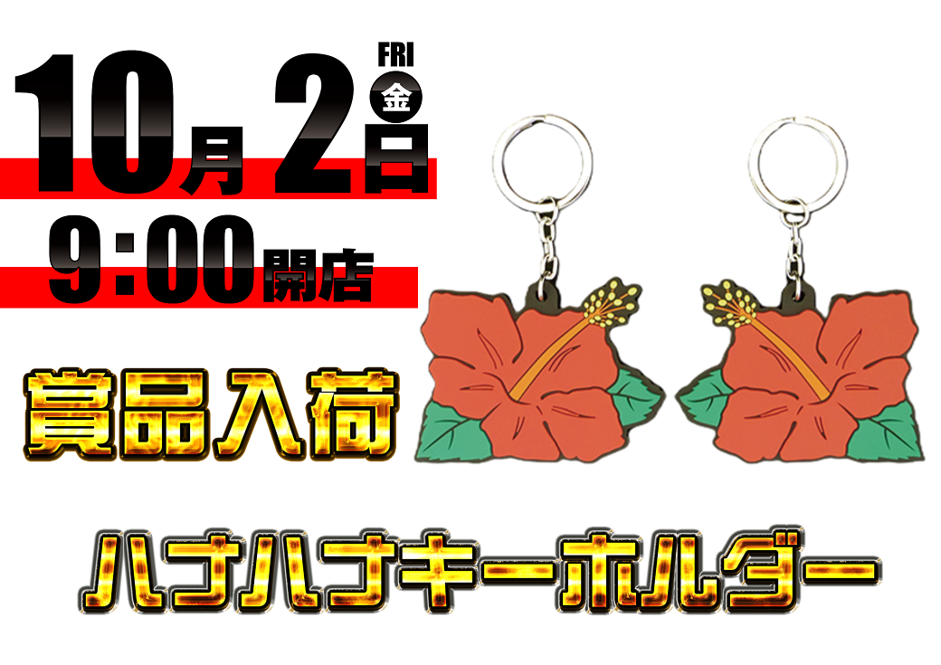 Order_ae260929-0037_order_png