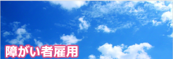 障がい者活躍推進